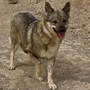 LOBITA Imagen 1